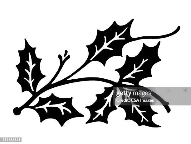 ivy - black and white christmas stock illustrations