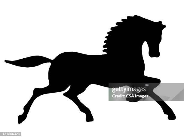 silhouette of horse - mähne stock-grafiken, -clipart, -cartoons und -symbole