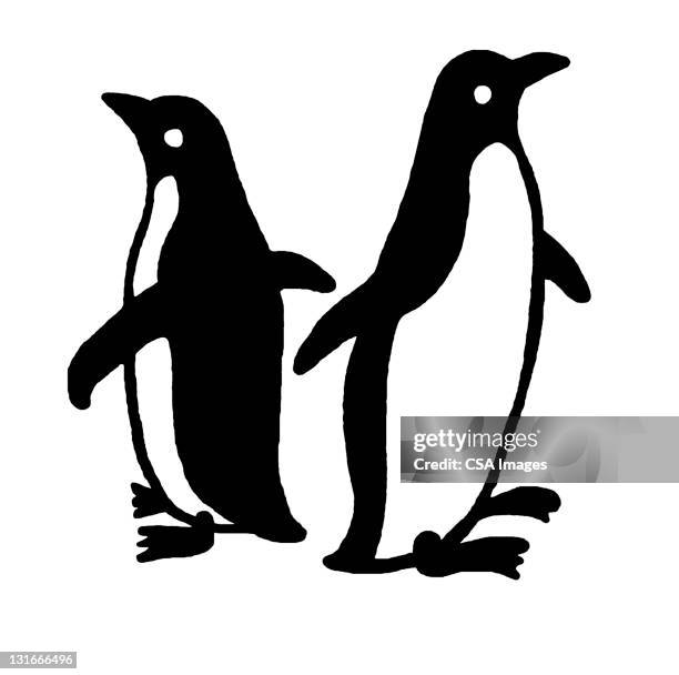 37 Two Penguins High Res Illustrations - Getty Images | Two