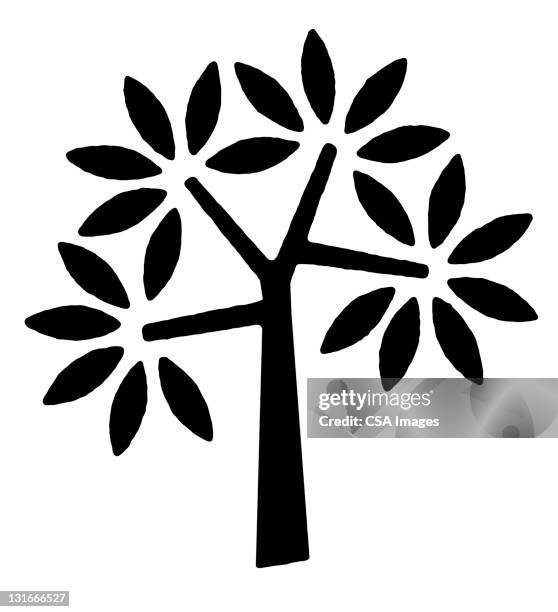 Tree Graphics Bw 18 612 Bw Tree Stock Photos, High-Res Pictures, and Images - Getty Images