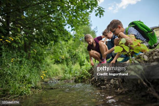 niños haciendo senderismo en hermosa naturaleza - riachuelo fotografías e imágenes de stock