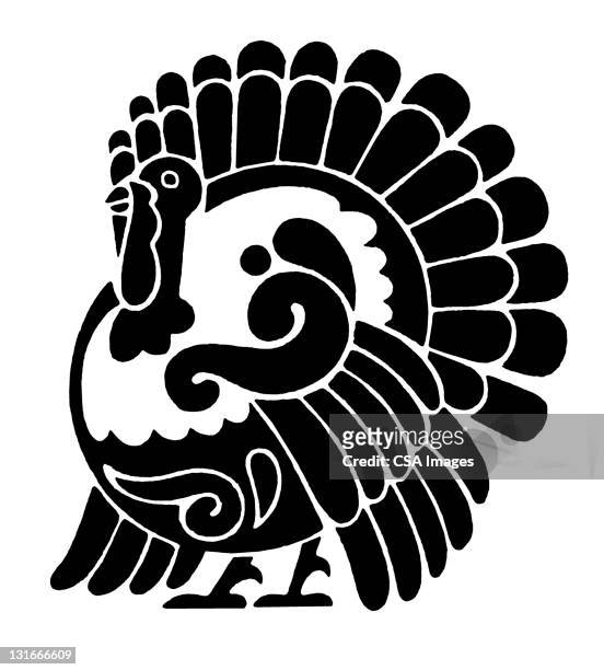 ilustrações, clipart, desenhos animados e ícones de turkey - peru ave doméstica