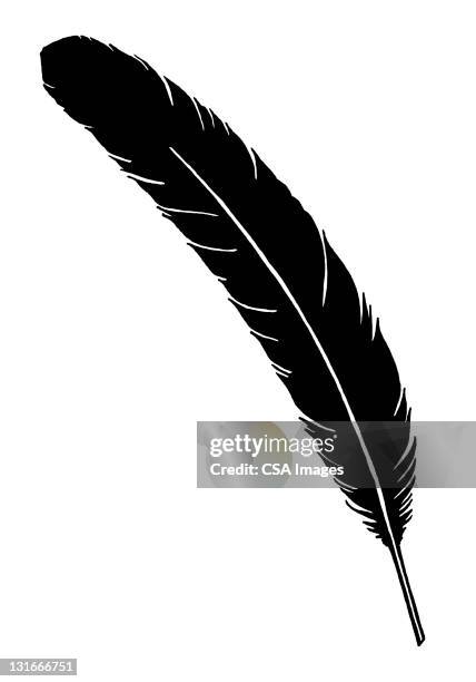 feather - plume stock illustrations