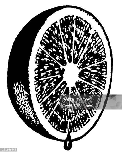 grapefruit half - lime stock illustrations