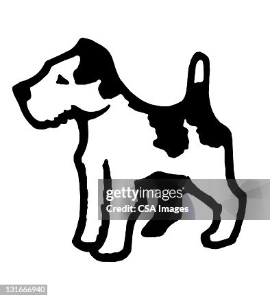 Terrier Terrier