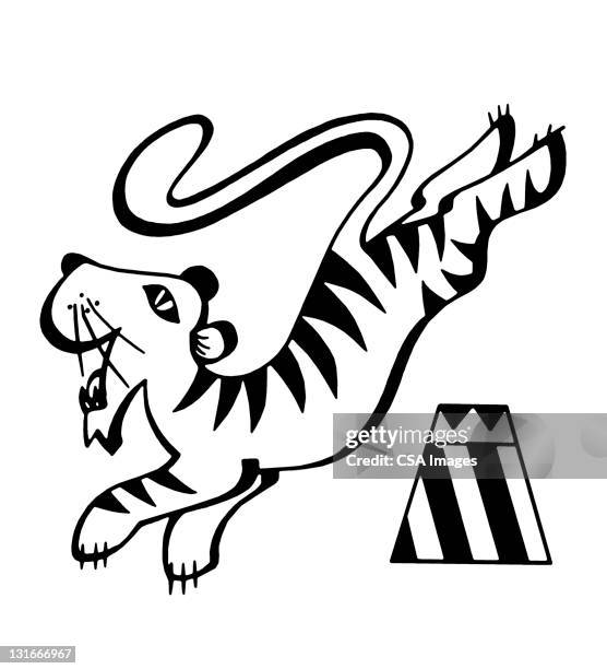 tiger leaping - tigers playing stock illustrations