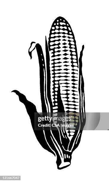 ear of corn - corn cob stock illustrations