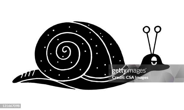 snail - helix stock illustrations