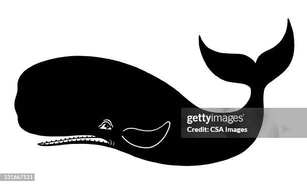 whale - tail fin stock illustrations