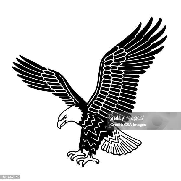 ilustraciones, imágenes clip art, dibujos animados e iconos de stock de american eagle - aguila