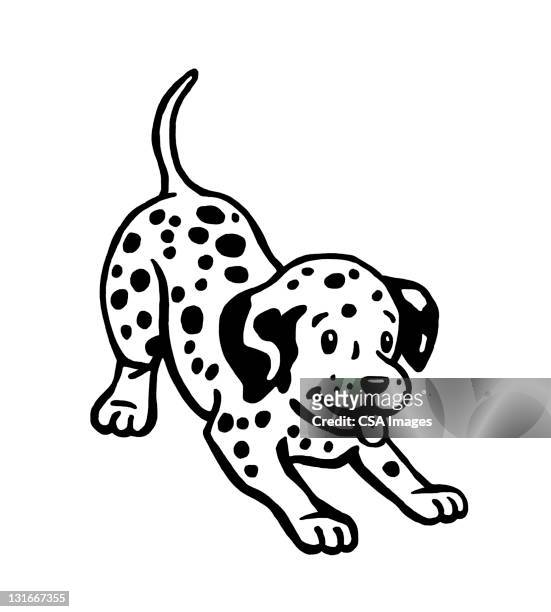 illustrations, cliparts, dessins animés et icônes de dalmatian puppy - dalmatian dog