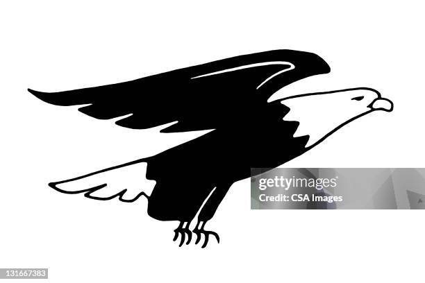 eagle side view - bald eagle wings stock illustrations
