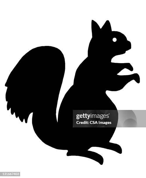 squirrel silhouette - animal silhouettes stock illustrations