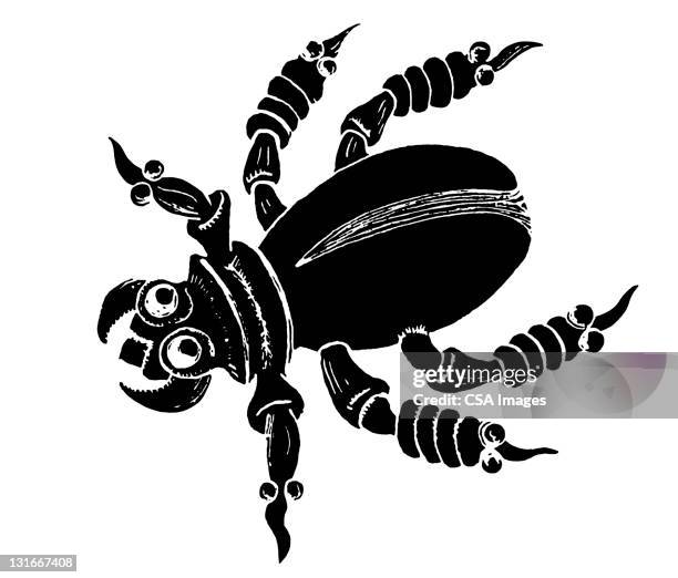 Umpire Insect 3,828 Dead Bugs White Background High Res Illustrations - Getty Images