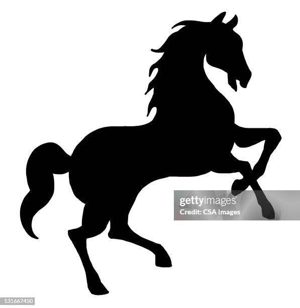 29 479点の馬 イラストのストックフォト Getty Images 29 479点の馬 イラストのストックフォト Getty Images