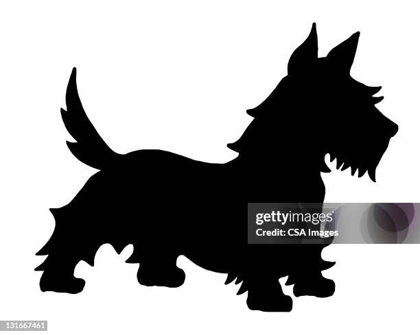 scotty dog - scottish terrier stock illustrations