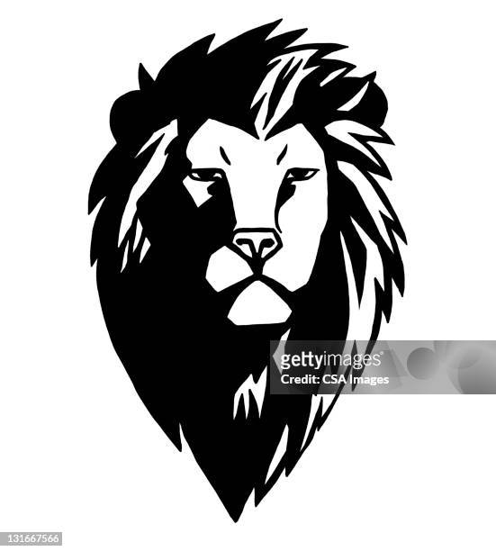 male lion head - wildcat animal 幅插畫檔、美工圖案、卡通及圖標