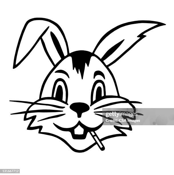 stockillustraties, clipart, cartoons en iconen met rabbit smoking cigarette - snorhaar