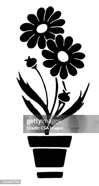 flowers in pot - empty flower pot stock illustrations