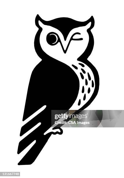 ilustraciones, imágenes clip art, dibujos animados e iconos de stock de winking owl - búho