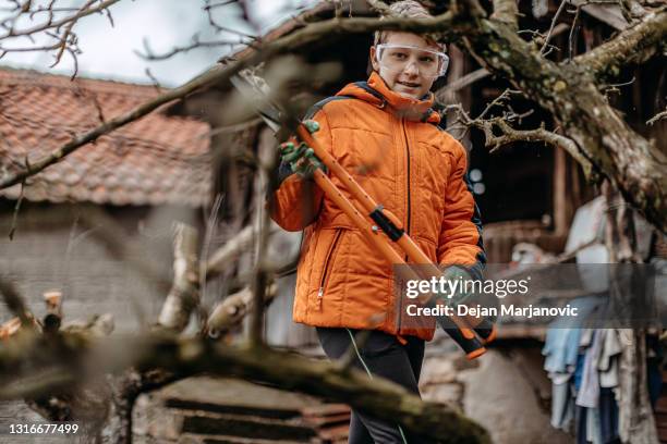 cutting branches - tree removal stock pictures, royalty-free photos & images