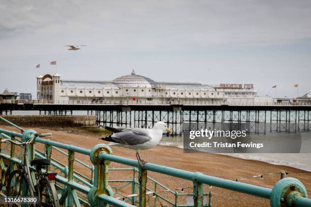 General view of Brighton Pier on May 06, 2021 in Brighton, England. Brighton & Hove Pride announced on May 5th the cancellation of the annual...