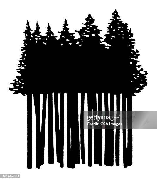 grove of trees - pine wood material stock-grafiken, -clipart, -cartoons und -symbole