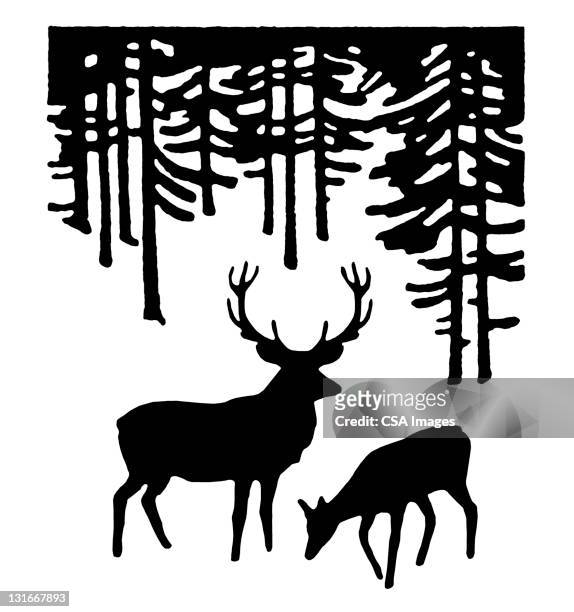 two deer in the woods - antler stock-grafiken, -clipart, -cartoons und -symbole