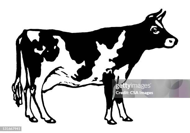 ilustraciones, imágenes clip art, dibujos animados e iconos de stock de cow - concept does not exist