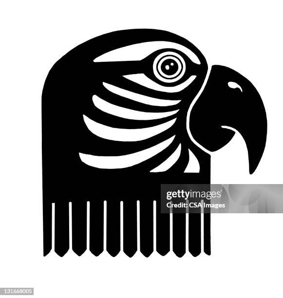 stylized bird head - parrot stock illustrations
