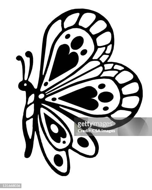stockillustraties, clipart, cartoons en iconen met butterfly - voelspriet