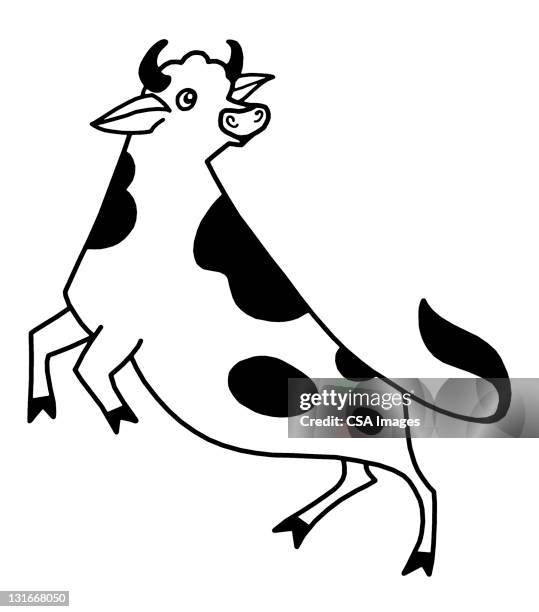 cow jumping - horned stock illustrations