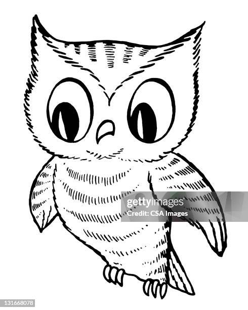 owl - owl illustration stock illustrations