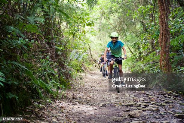 child on bicycle trail - new zealand forest stock pictures, royalty-free photos & images