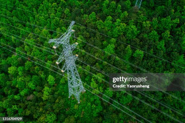 aerial view of power line through alpine forest in china - power grid stock pictures, royalty-free photos & images