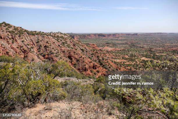 caprock canyons state park views from a trail - v texas a m stockfoto's en -beelden