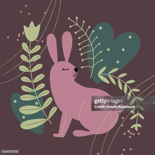 Pink Colour Rabbit Drawing 330 Pink Rabbit Drawing Stock Photos, High-Res Pictures, and Images ...
