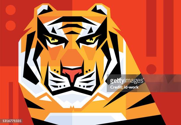tiger head - animal wildlife stock illustrations