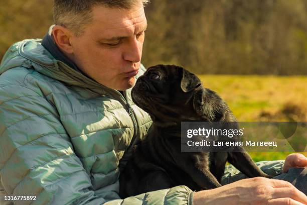 cute black pug dog sitting on male lap on spring park natural baclground - 1 minute 50 stock pictures, royalty-free photos & images