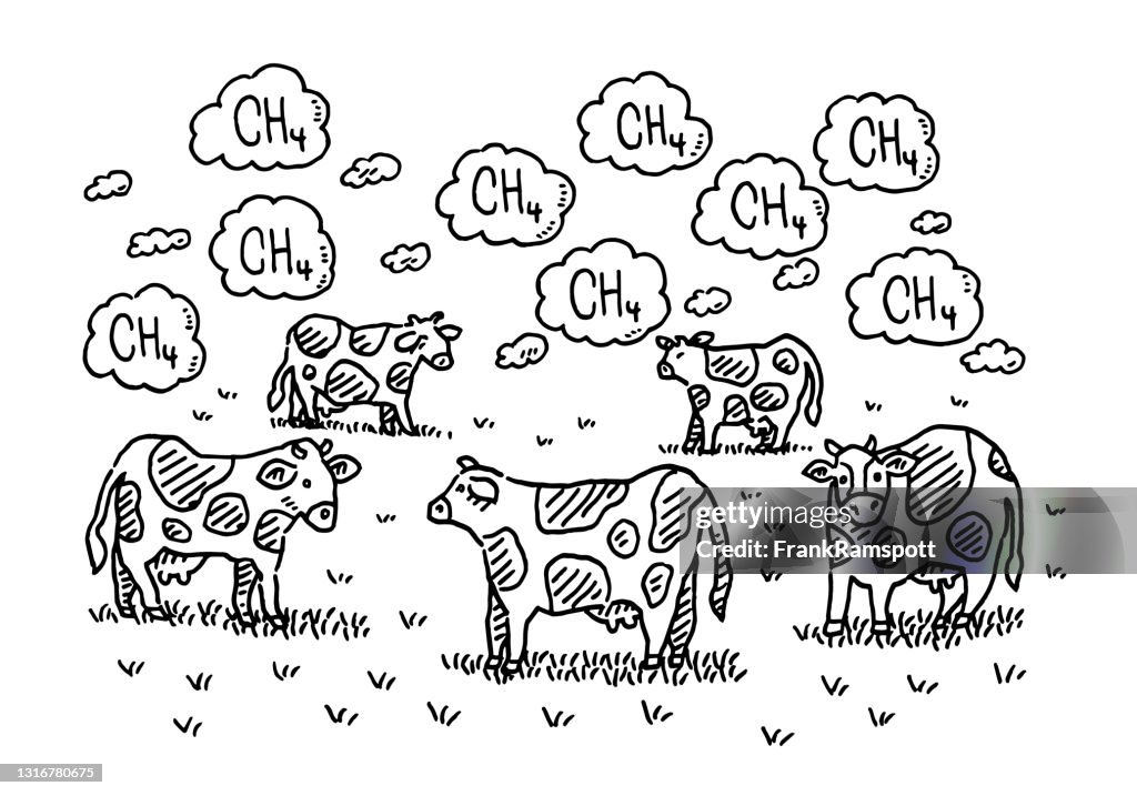Cows Methane Problem Infographic Drawing