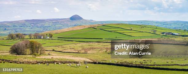 paysage scénique panoramique dans le comté d’antrim, irlande du nord, avec la montagne de tache dans la distance - ulster photos et images de collection