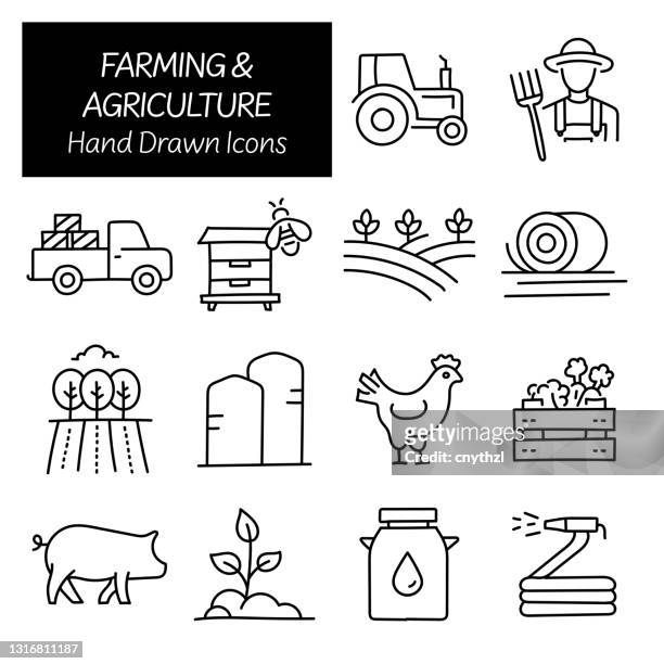 farming and agriculture related hand drawn icons, doodle elements vector illustration - farmers stock illustrations