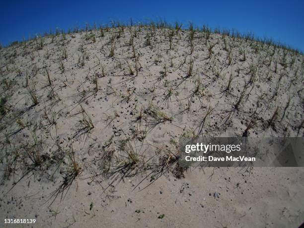 fisheye view of caswell beach - caswell beach north carolina stock pictures, royalty-free photos & images