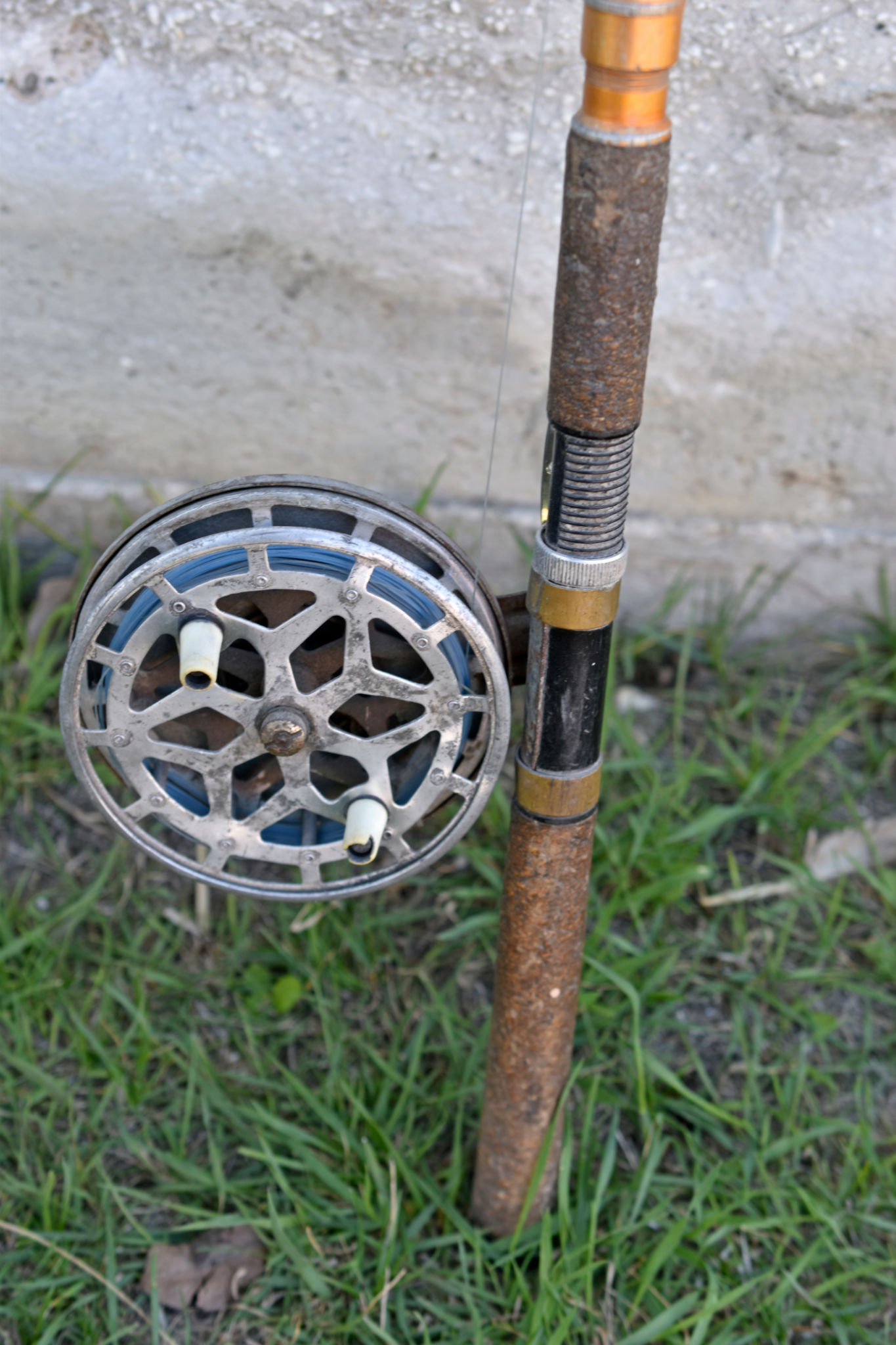 Fishing rod and spinning in the garden Fishing rod and spinning in the garden