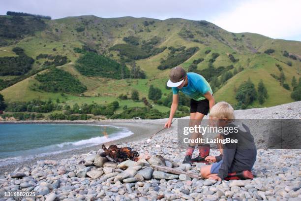 boys cooking marshmallows on campfire - summer camping new zealand stock pictures, royalty-free photos & images