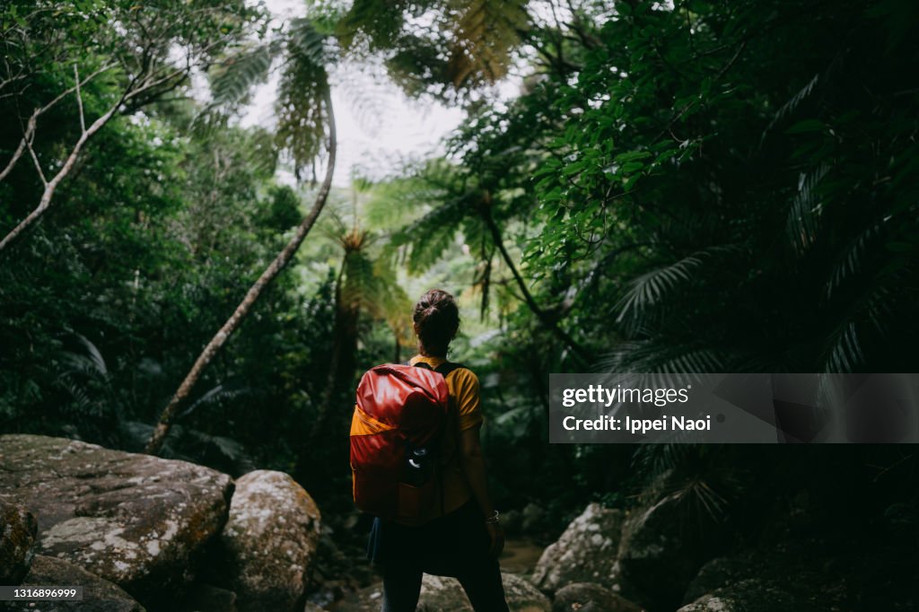 Rear view of woman in tropical rainforest with river