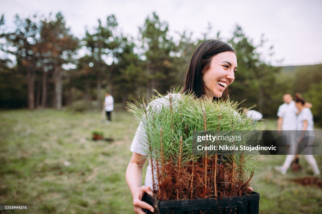 Mujer cuida de plantas de ciprés
