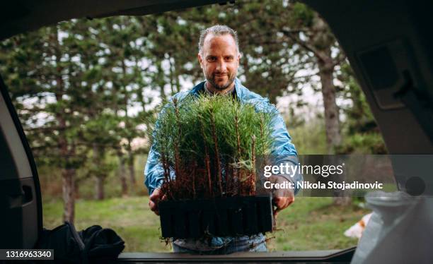 a man taking a plant from car - giving tree stock pictures, royalty-free photos & images