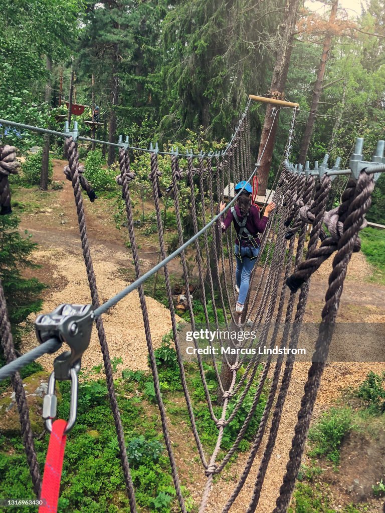 Adventure in the trees