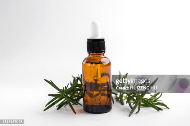 rosemary essential oil and fresh twig. essential oil natural remedies. - rosmarin bildbanksfoton och bilder